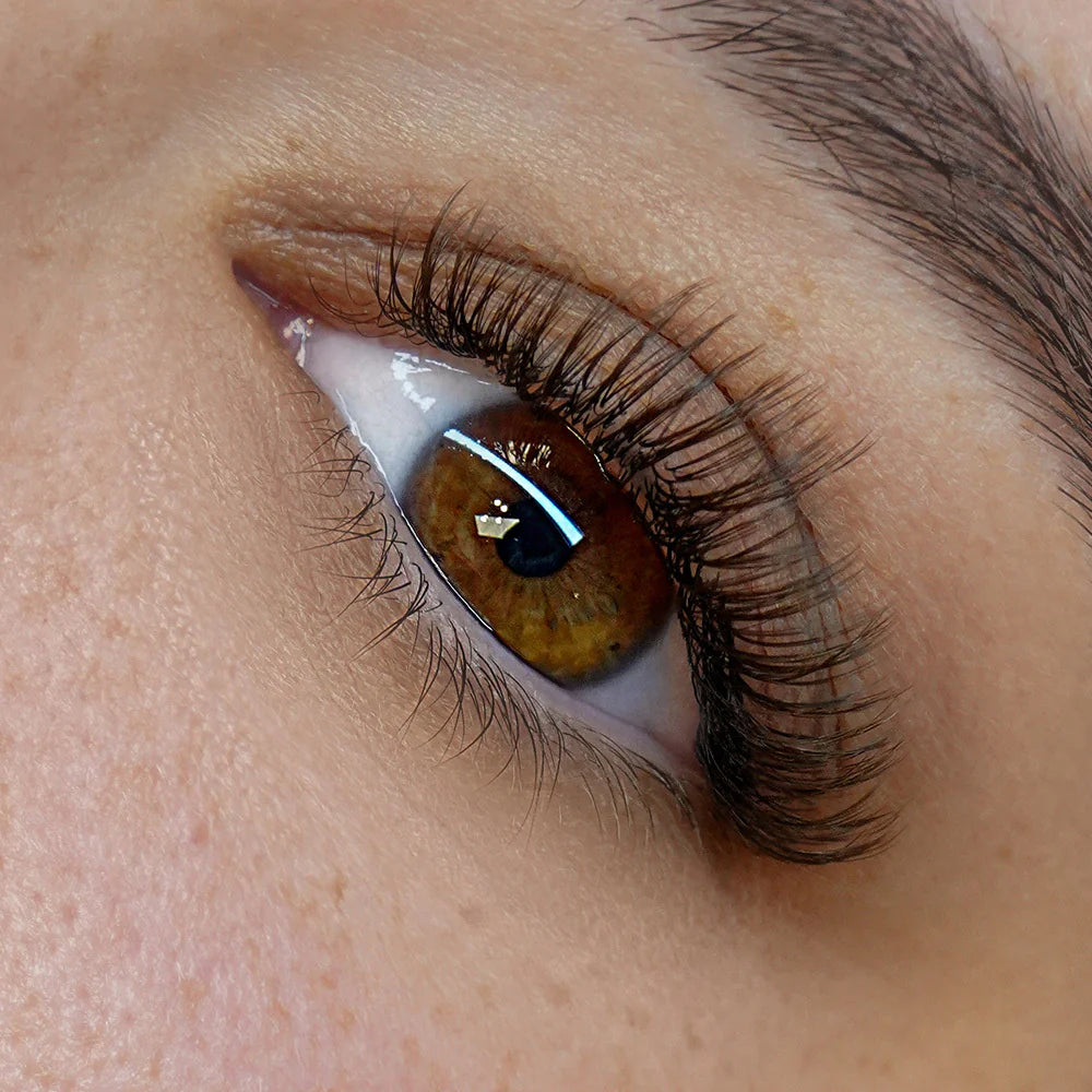 Chameleon-Mocha Lash CC Mixed 8mm-15mm